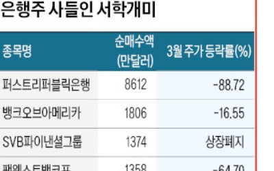 뱅크런이 기회?…서학개미, 은행주 '줍줍'
