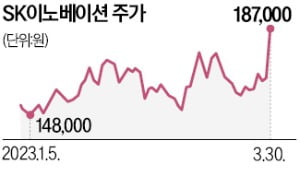 물적분할 돌파구 찾은 SK이노…"SK온 IPO때 주식 교환 추진"