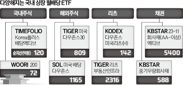 美 주식·채권·리츠…월배당 ETF 쏟아진다