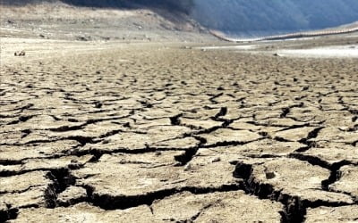 호남 50년 만에 최악 가뭄…광주 '제한급수' 임박