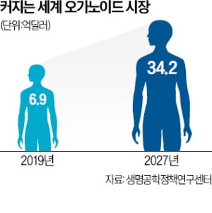 길 열린 인공장기 임상…동물실험 대안으로 뜬다