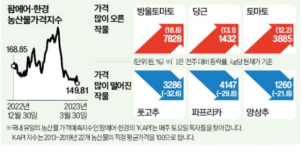 당근 가격 58% 껑충…애호박 수요도 증가