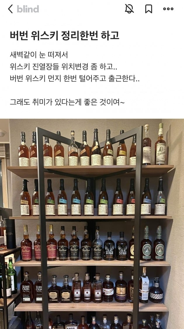 블라인드 내 게시글 갈무리