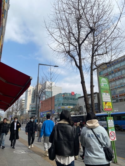 [르포] “우리도 신입생이에요”, 새 학기 한국 교정을 찾은 교환학생의 일상 엿보기