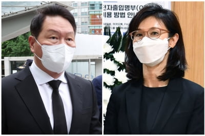 노소영, 최태원 동거인 김희영에 ‘30억’ 소송...“극심한 고통 겪어”