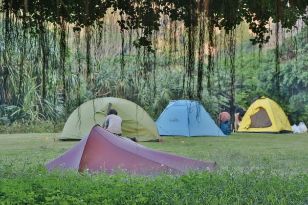 [오태민 작가의 캠핑]전 세계인의 버킷리스트, 아마미제도 '섬 캠핑' 