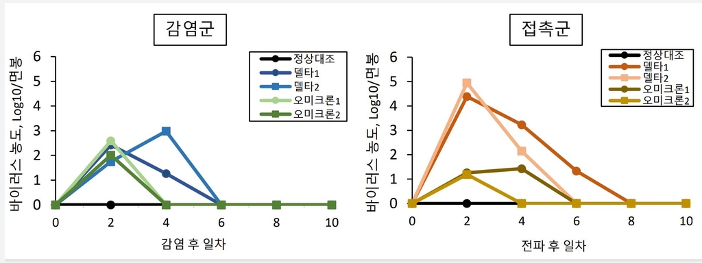 "개들끼리 코로나19 전파 첫 확인…반려동물발 변이종 우려"