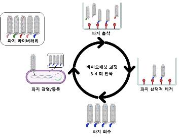 해양과학기술원, 감염성 해양바이러스 신속 판정 기술 개발