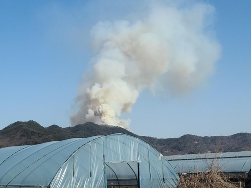 경북 김천 야산에 불…3시간 30여분만에 진화(종합)