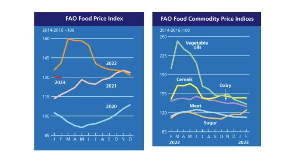 세계 식량 가격 11개월째 하락…전쟁직후 고점 대비 19% 떨어져
