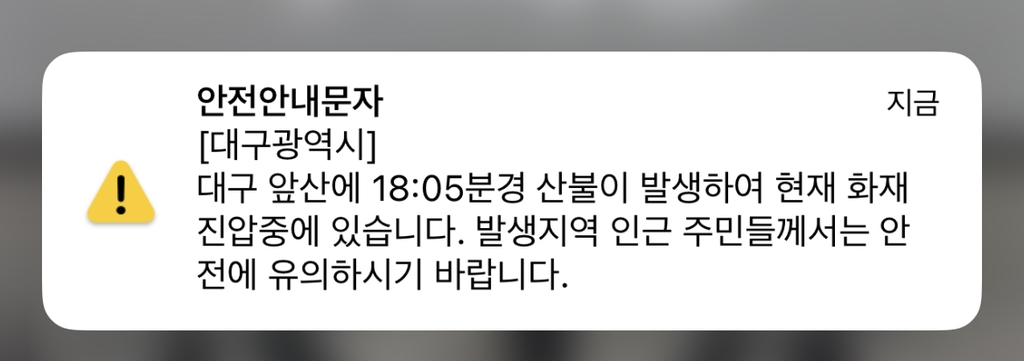 대구 남구 앞산 불…산림 당국 야간 진화 나서(종합)