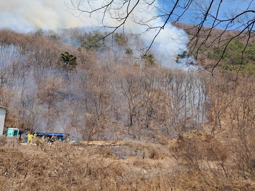 경북 경산 산불 3시간여 만에 주불 진화…3㏊ 피해(종합)