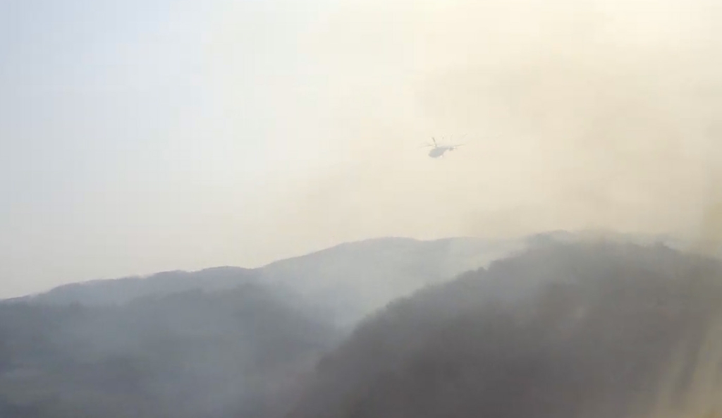 충남 공주서 산불…1시간여 만에 주불 진화