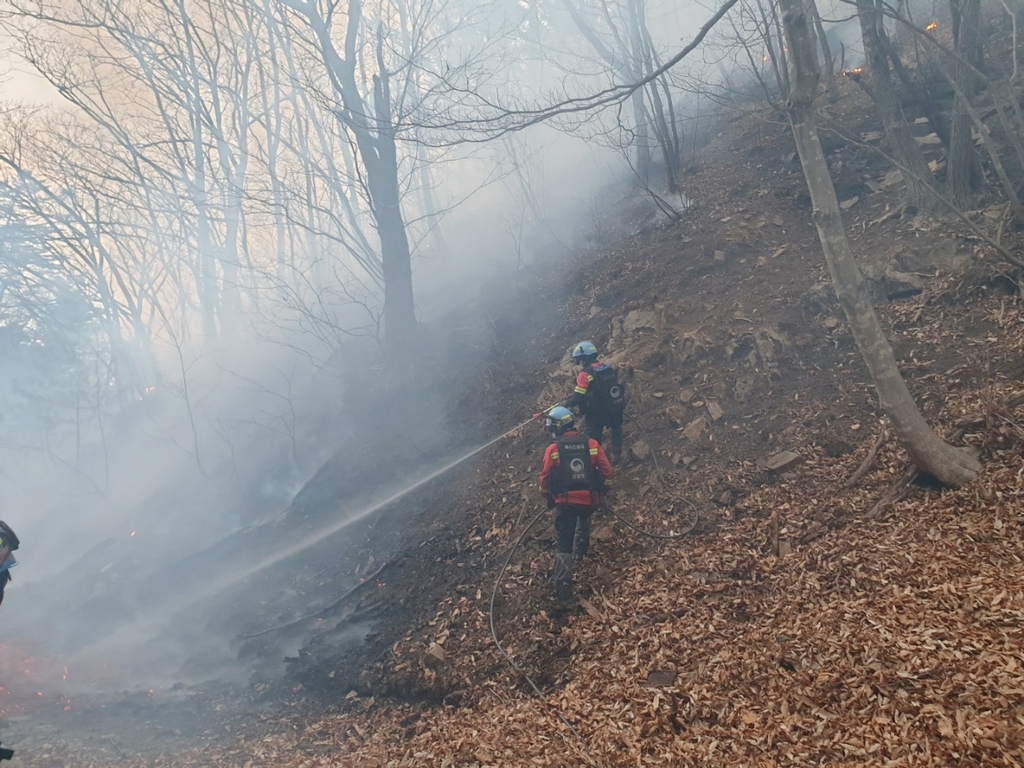 '산불 위험 최고조' 산림청, 위기경보 '주의→경계' 상향