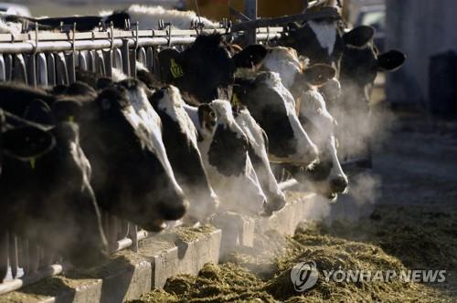 현재 식량 생산·소비 행태 지속하면 2100년까지 1℃ 추가 상승