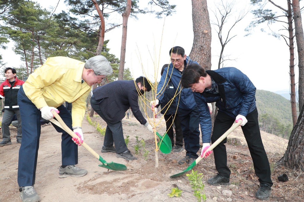 경남도, 올해 여의도 면적 6.3배 조림사업…의령서 나무심기