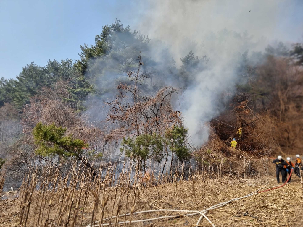 인제 밭에서 난 불 산으로 비화…인명피해 없이 30분 만에 꺼져