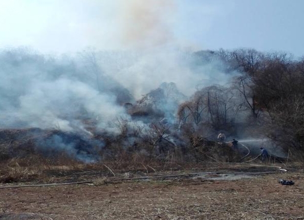 경남 함안군 법수면 야산 화재 43분 만에 진화…인명피해 없어