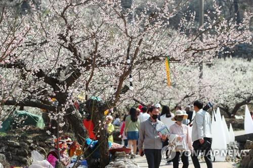 완연한 봄 날씨에…관광지·유원지·축제장 상춘객 북적