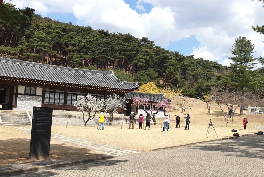 현충사, 봄맞이 조기개방…"봄꽃과 함께 1시간 일찍 관람하세요"