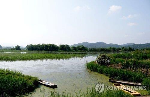 '람사르습지도시' 창녕군, 습지 복원 릴레이 동참