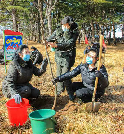 [한반도의 오늘] 北, 24년만에 바뀐 식목일…"수령님 산림조성 가르친 날"