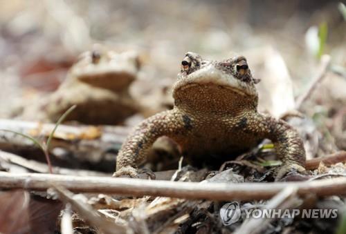 대구·경북, 매우 건조한 대기에 강풍…화재 '주의'