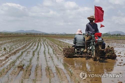 "식량난 북한, 군량미 방출…중국서 60만t 확보하라 지시"