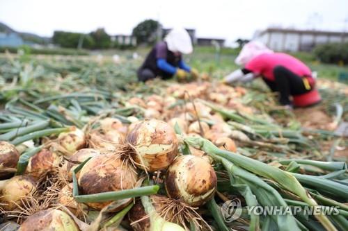 '농부증 예방'…익산시, 여성 농민 무료로 특수건강검진