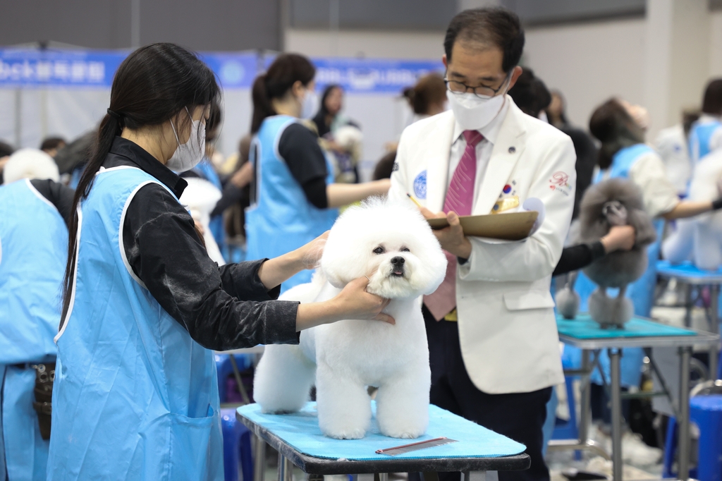 [사진톡톡] 전국 애견미용 콘테스트