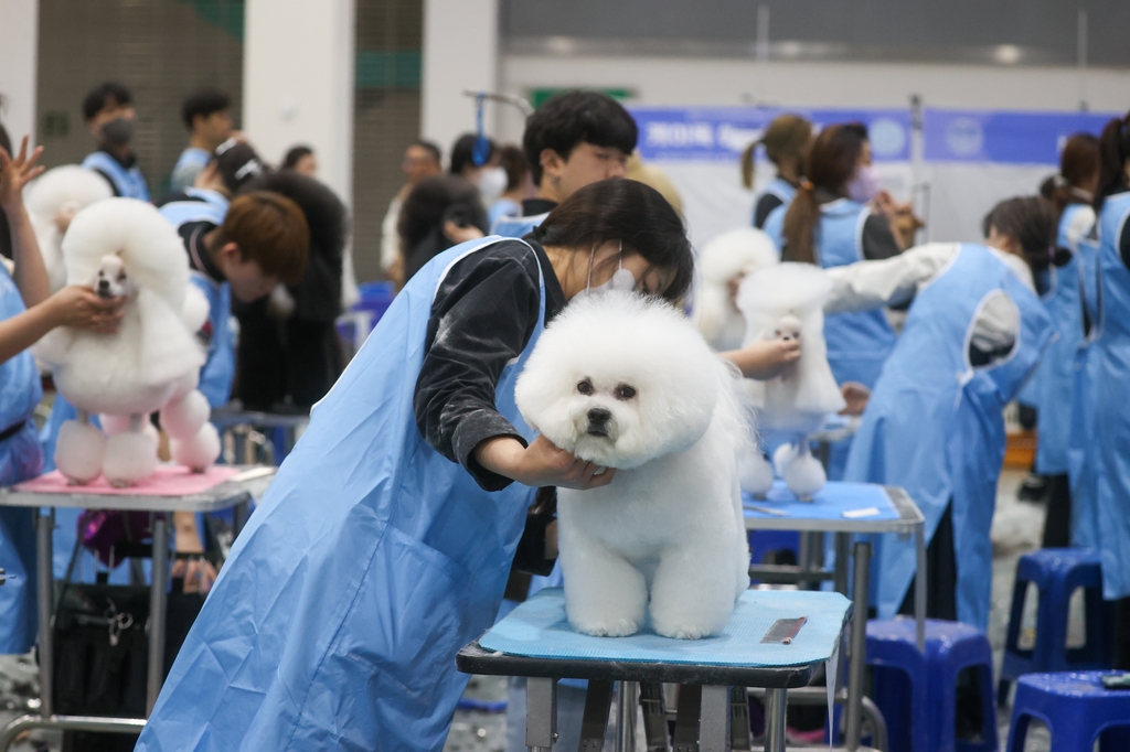 [사진톡톡] 전국 애견미용 콘테스트