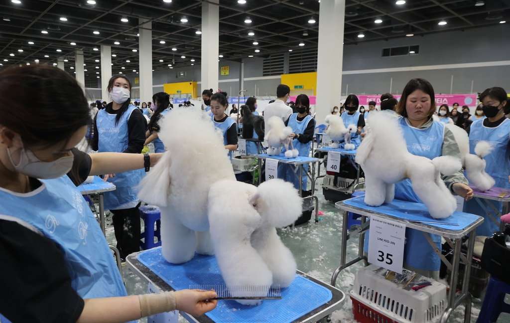 [사진톡톡] 전국 애견미용 콘테스트