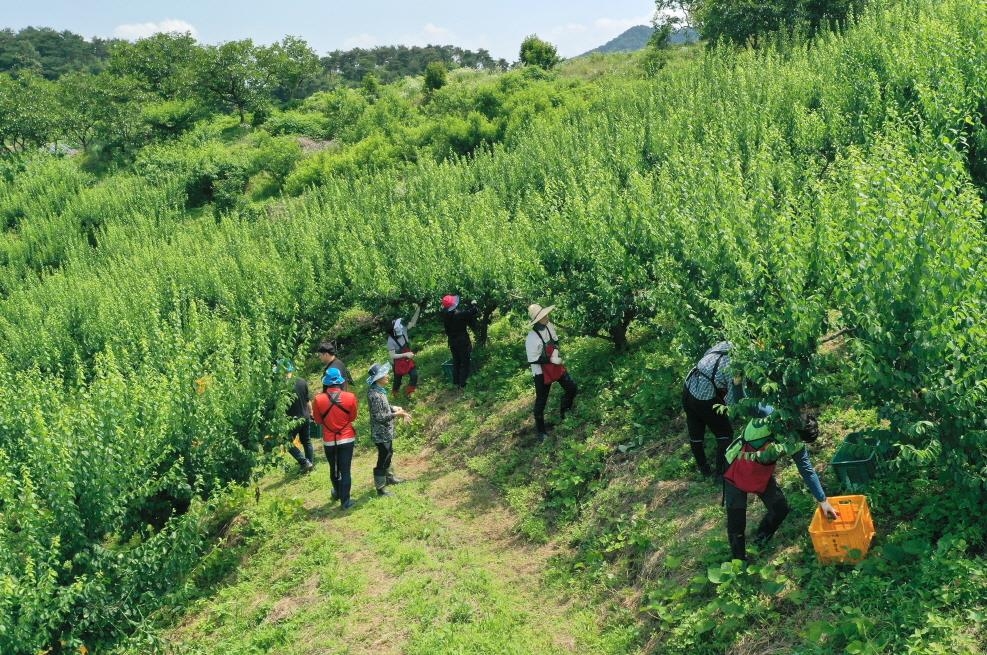 순창군 "농촌 체험하고 버스비 받으세요"