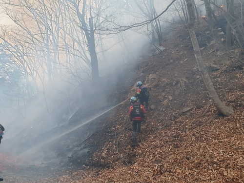 건조한 날씨에…충남 예산·보령서 산불 잇따라(종합)