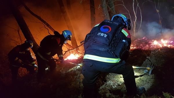 인천 아파트단지 뒤편 야산서 불…20분만에 진화