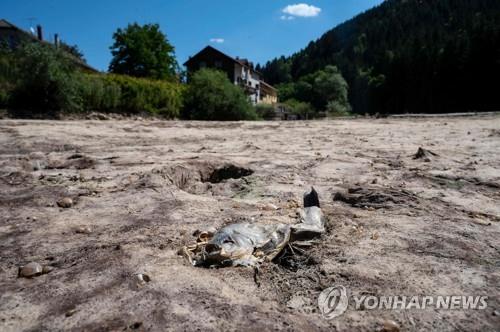 IPCC 6차 보고서는 195개국이 승인한 '기후변화 교과서'