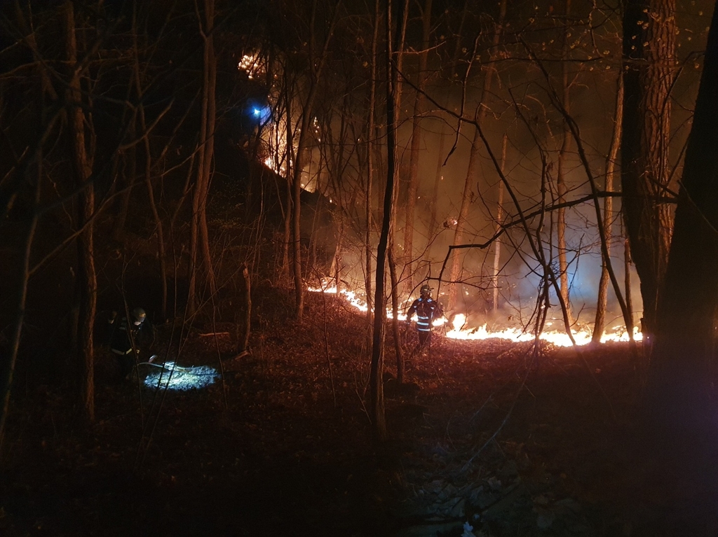 제천 백운면서 야간 산불…0.4㏊ 태워