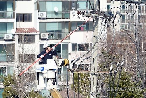 전신주 까치집 탓 정전…청주 봉명동서 968가구 피해