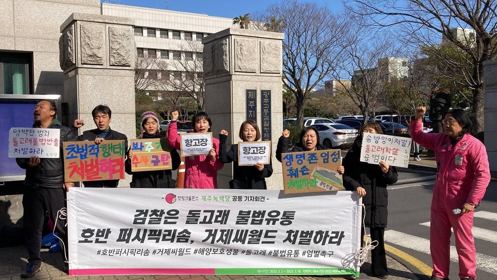 '큰돌고래 무단 이송' 기소유예→기소…검찰 판단 뒤집혀