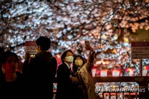 도쿄엔 벌써 벚꽃이 활짝…"일본 경제효과 6조원"