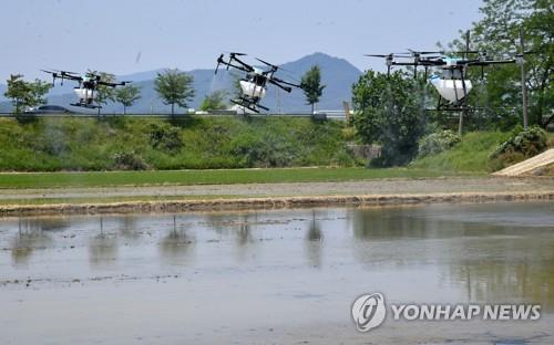 드론 띄워 농사일 지원 척척…밀양 '청년농업인 드론방제단'