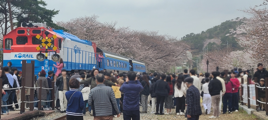 상춘객 유혹하는 연분홍 벚꽃 향연…인파 몰린 진해군항제