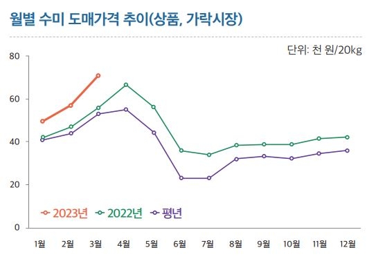 "4월에도 감자 비싸다…평년보다 27∼36%↑"