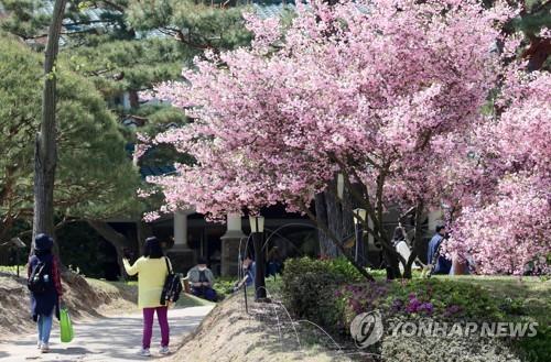 '옛 대통령 묵던 건물서 하룻밤…' 청남대 침실 일반에 개방