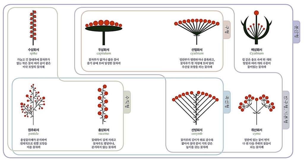 국립수목원, 모양으로 분류한 정원식물 도감 발간