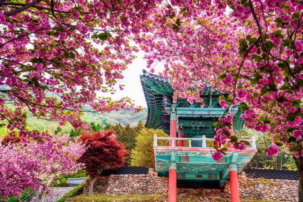 볼거리 넘치는 사천…기존 8경에 용두공원·겹벚꽃 추가
