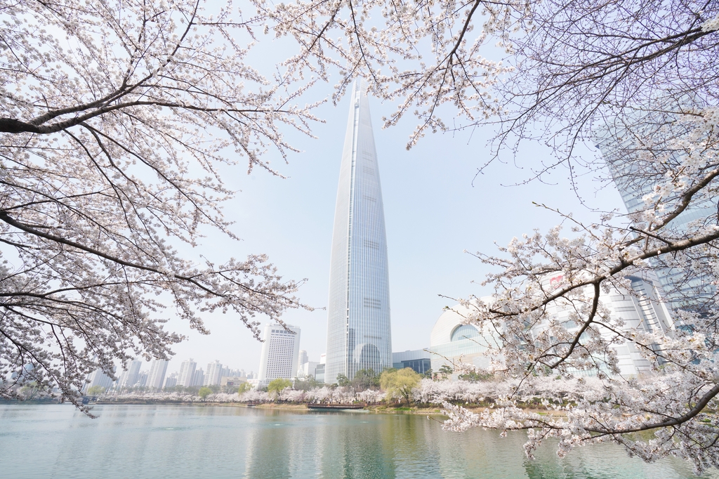 송파 석촌호수서 내달 5∼9일 벚꽃축제…1천여그루 만개