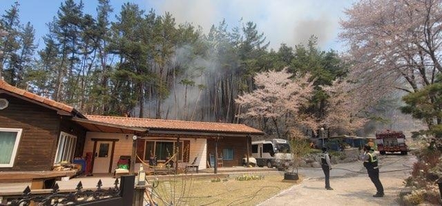 경북 경주 야산서 불…50분 만에 주불 진화