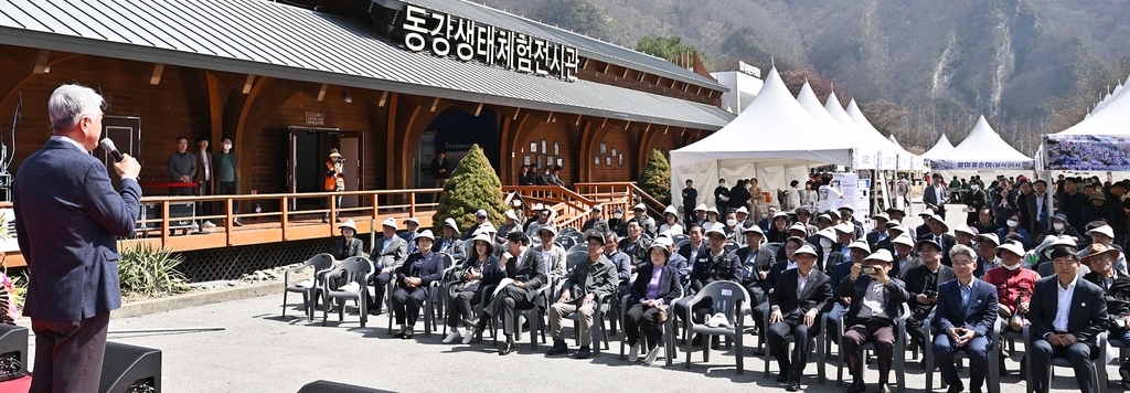 정선 동강할미꽃 축제 개막…"상춘객 설레게 하는 꽃"