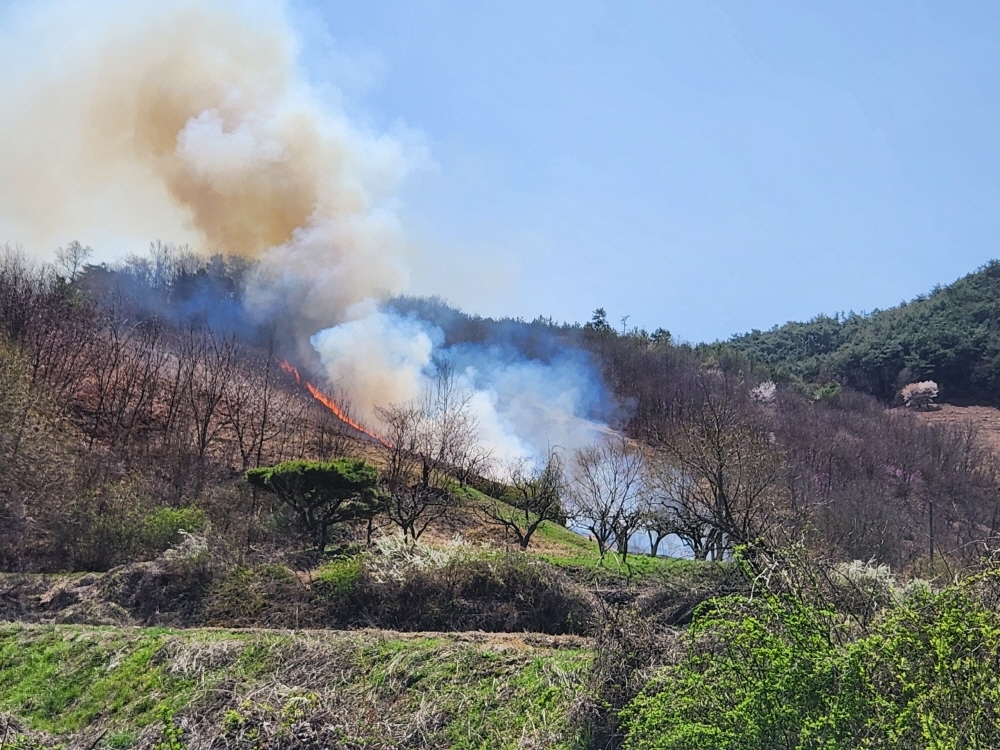 전남 순천·진도서 산불 잇달아